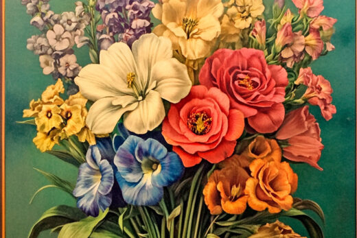 sref 911 | flowers