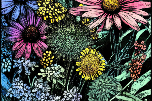 sref 923 | flowers