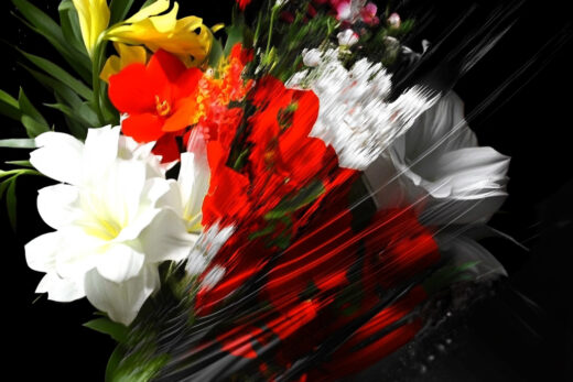 sref 932 | flowers