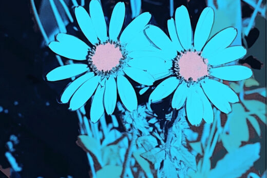 sref 942 | flowers