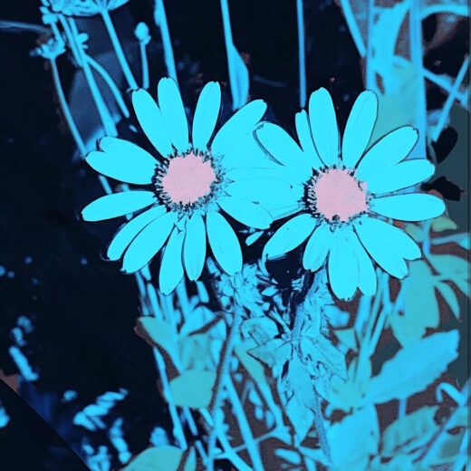 sref 942 | flowers