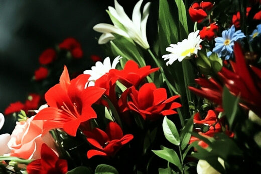 sref 994 | flowers