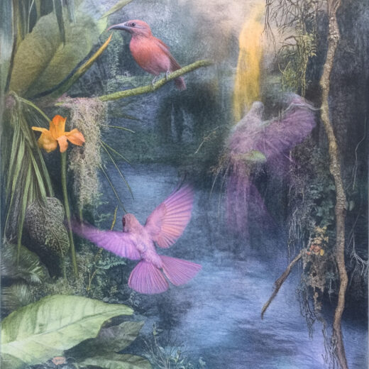 sref 160 | nature