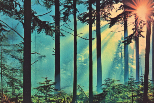 sref 167 | nature