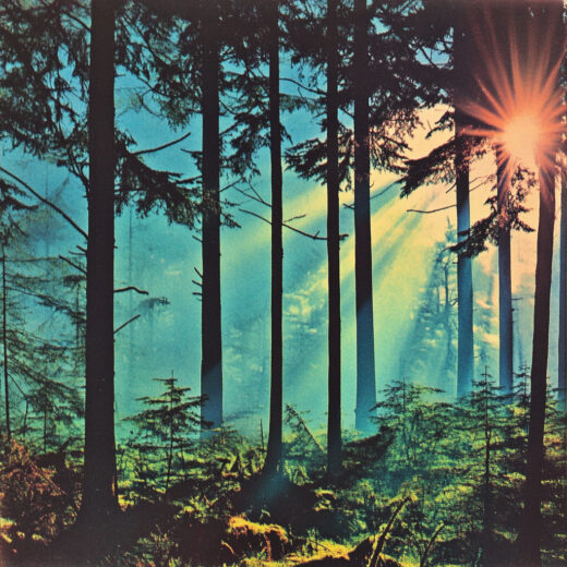 sref 167 | nature