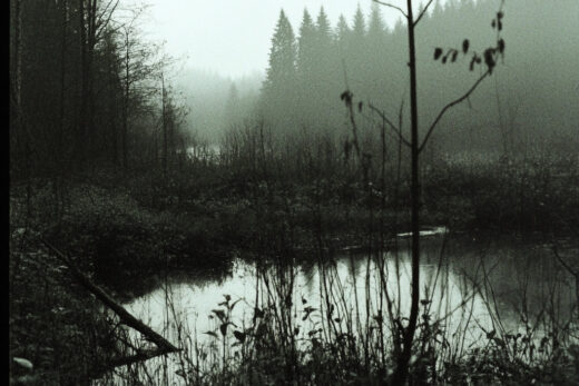 sref 203 | nature