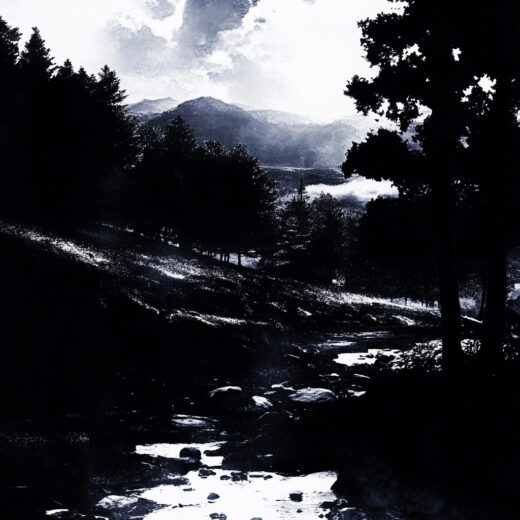sref 212 | nature