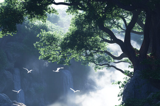 sref 215 | nature