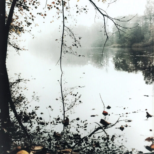 sref 268 | nature
