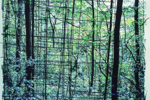 sref 364 | nature
