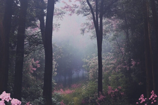 sref 389 | nature