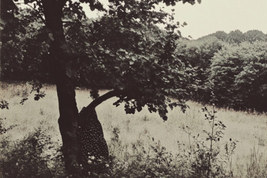 sref 442 | nature