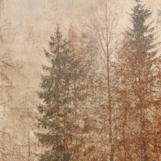 sref 53 | nature
