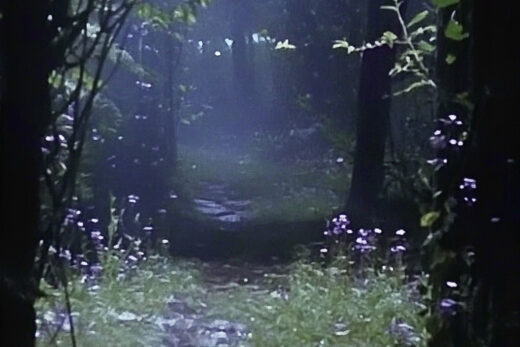 sref 561 | nature