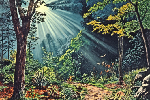sref 602 | nature