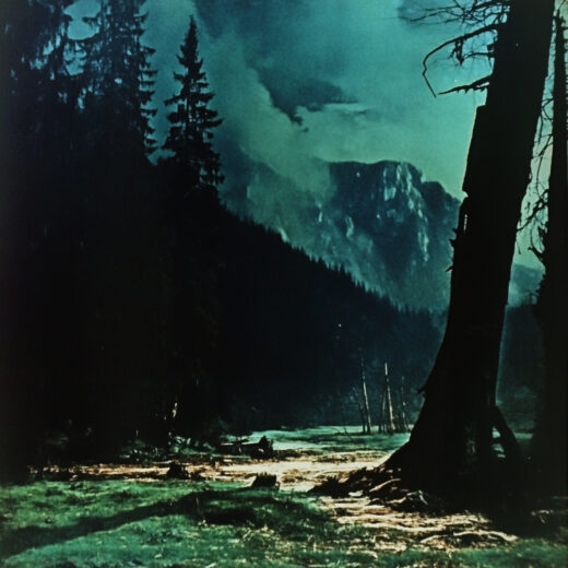 sref 626 | nature