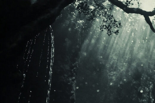 sref 649 | nature