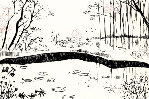 sref 653 | nature