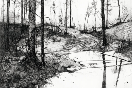 sref 709 | nature