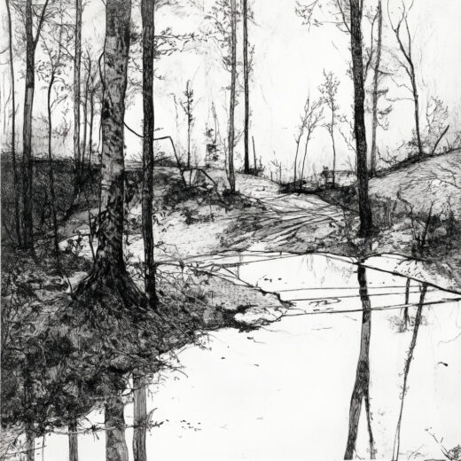 sref 709 | nature