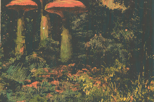 sref 793 | nature