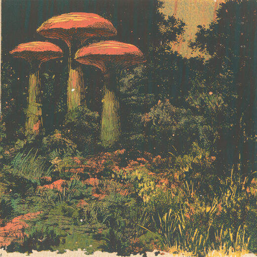 sref 793 | nature