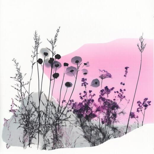 sref 803 | nature
