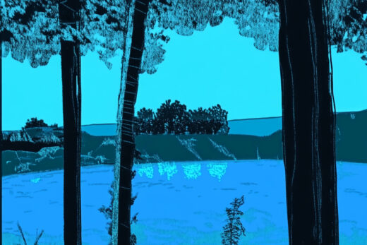 sref 942 | nature